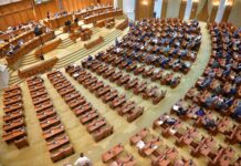 Senatul a respins proiectul AUR pentru reducerea numărului de parlamentari