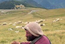 Ciobanul dat dispărut și căutat în toată țara, găsit la Târgu Jiu