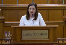 Ionelia Priescu, inițiativă pentru apicultori: Camera Deputaților a votat TVA de 11% pentru hrana albinelor